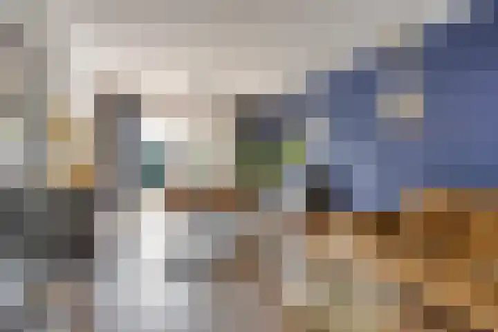 de Boisotstraat 30 Koudekerke thumbnail 8