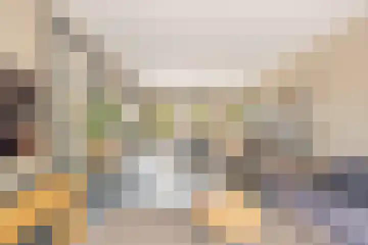de Boisotstraat 34 Koudekerke thumbnail 12