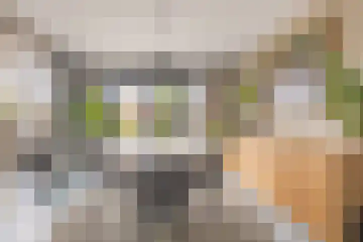 de Boisotstraat 34 Koudekerke thumbnail 13