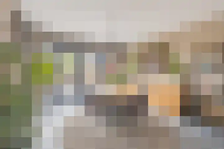 de Boisotstraat 34 Koudekerke thumbnail 14