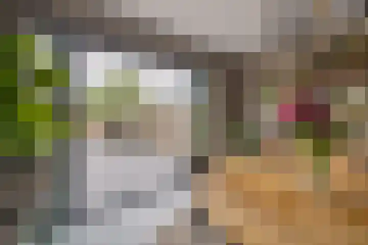 de Boisotstraat 34 Koudekerke thumbnail 15