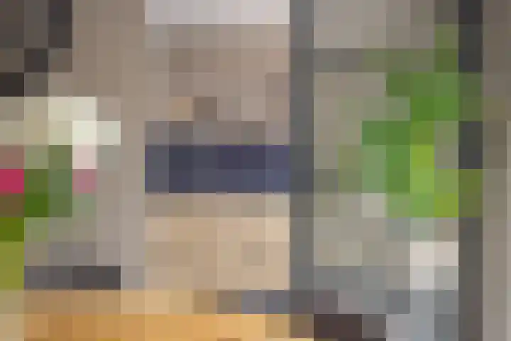 de Boisotstraat 34 Koudekerke thumbnail 17