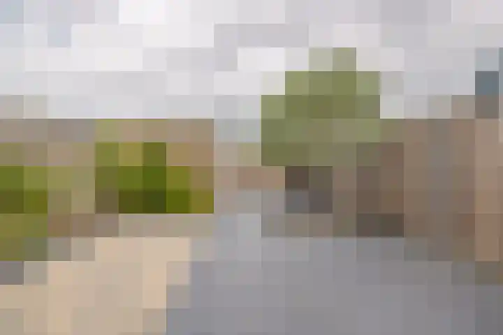de Boisotstraat 34 Koudekerke thumbnail 21