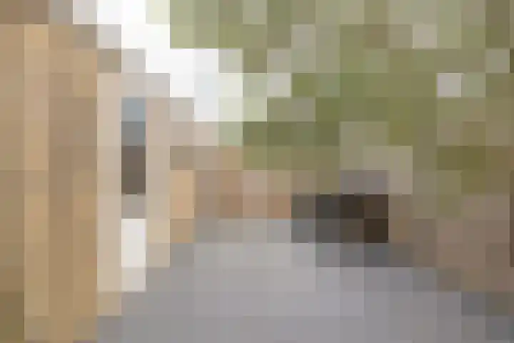 de Boisotstraat 34 Koudekerke thumbnail 22