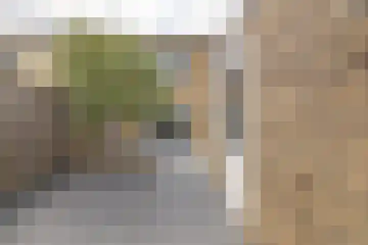de Boisotstraat 34 Koudekerke thumbnail 23