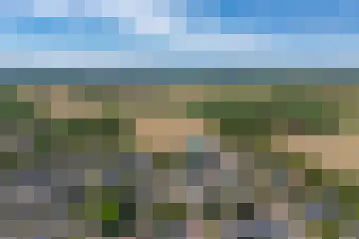 de Boisotstraat 34 Koudekerke thumbnail 4