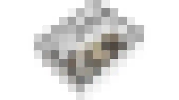 de Boisotstraat 34 Koudekerke thumbnail 5