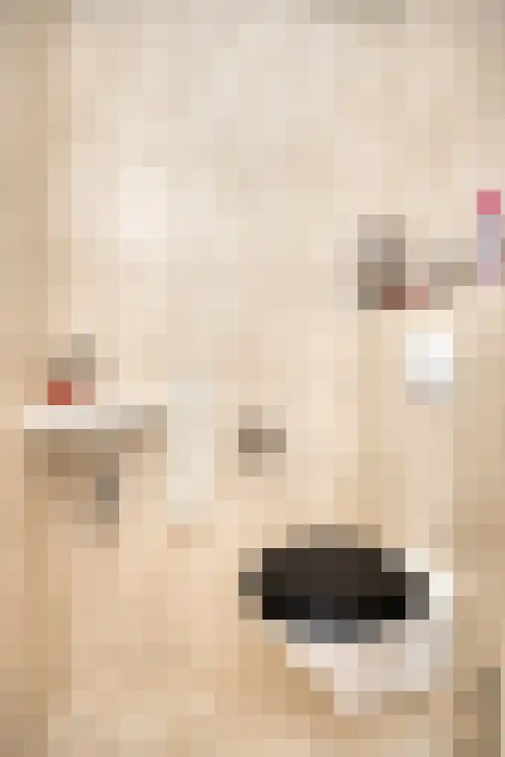 De Boksloot 12 Slagharen thumbnail 17