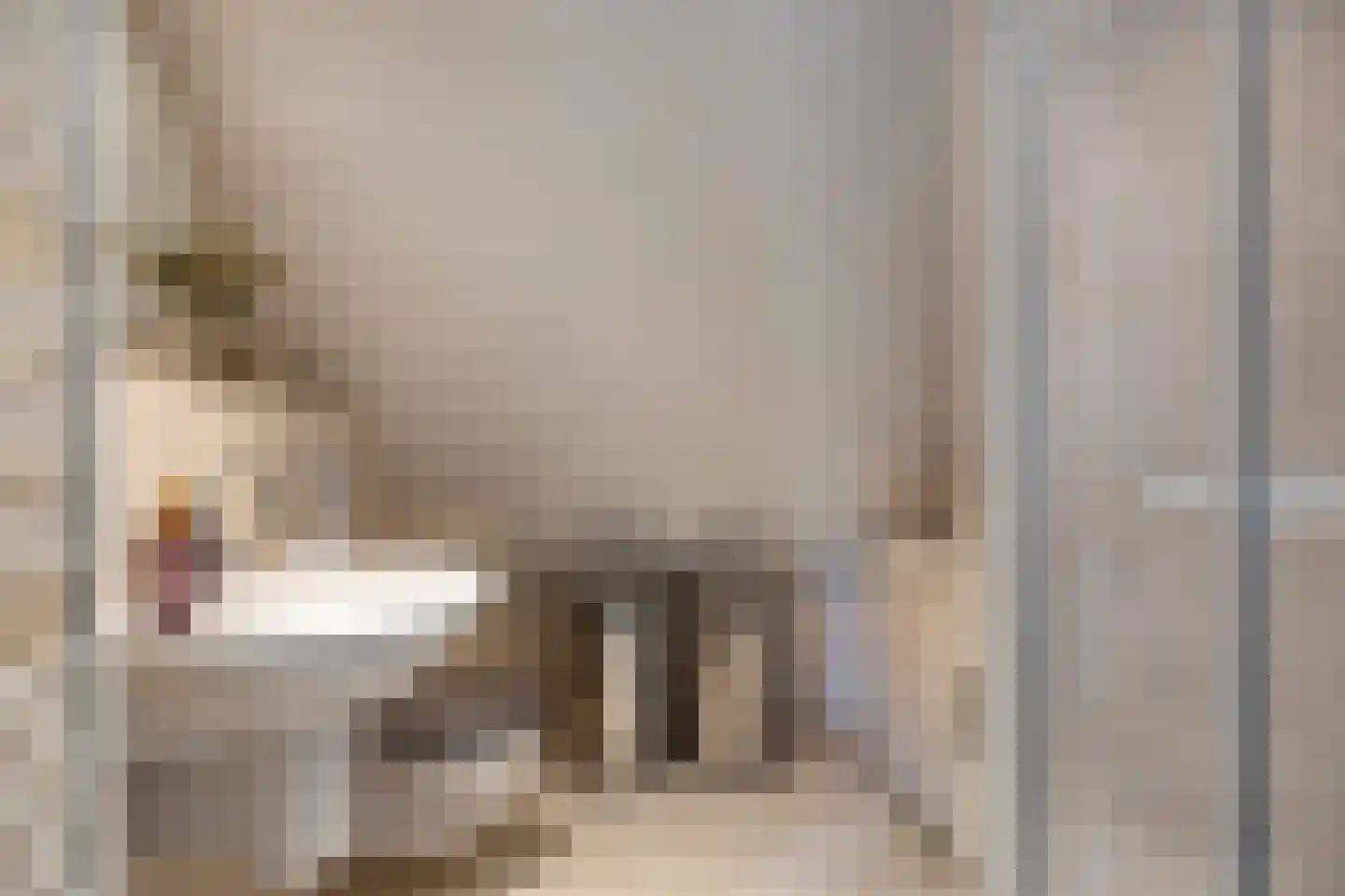 De Boksloot 12 Slagharen thumbnail 22