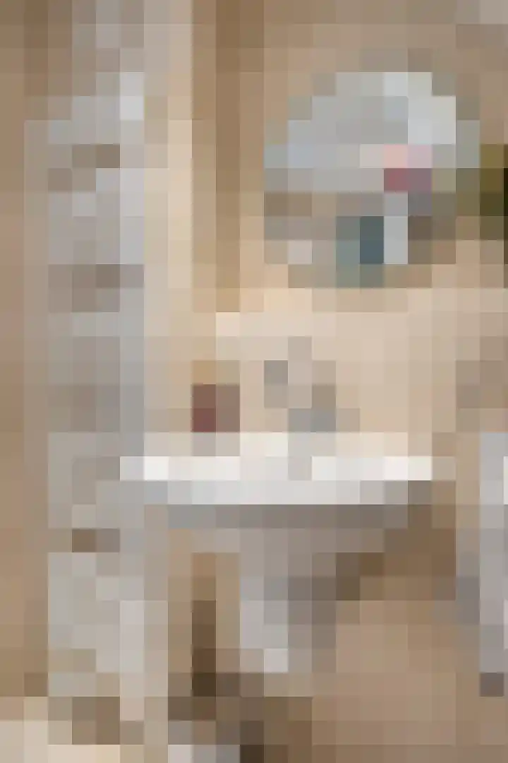 De Boksloot 12 Slagharen thumbnail 24