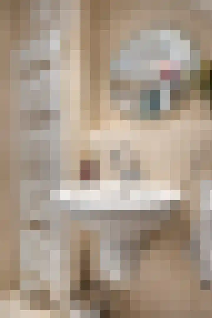 De Boksloot 12 Slagharen thumbnail 24