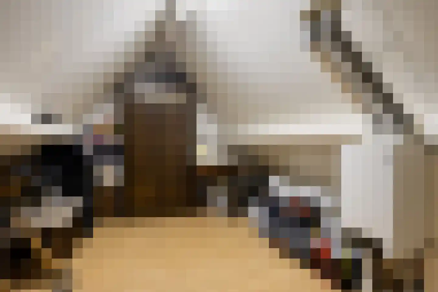 De Boksloot 12 Slagharen thumbnail 29