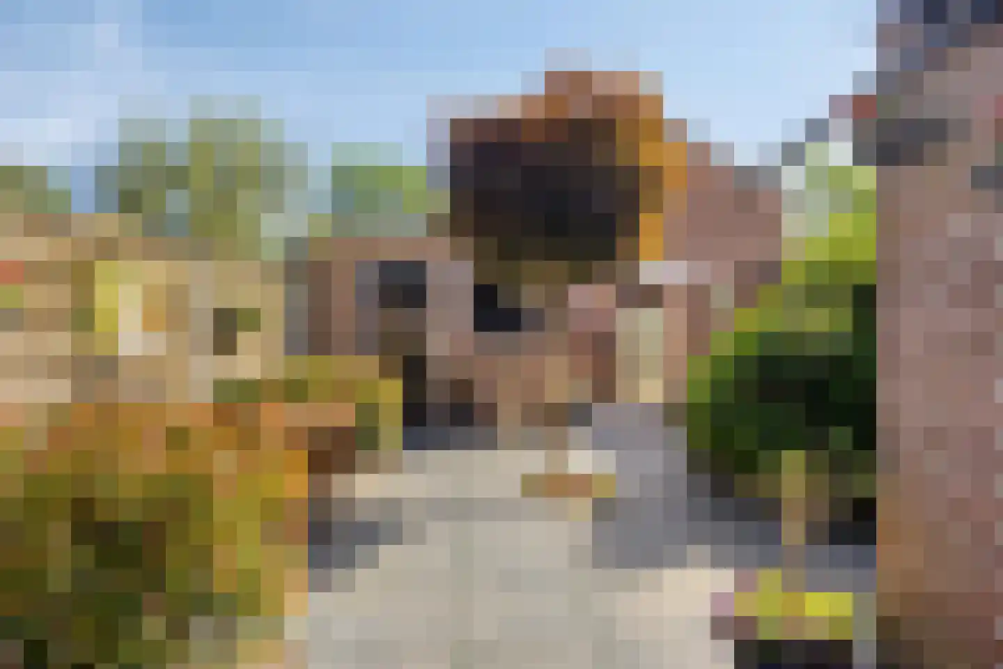 De Boksloot 12 Slagharen thumbnail 31