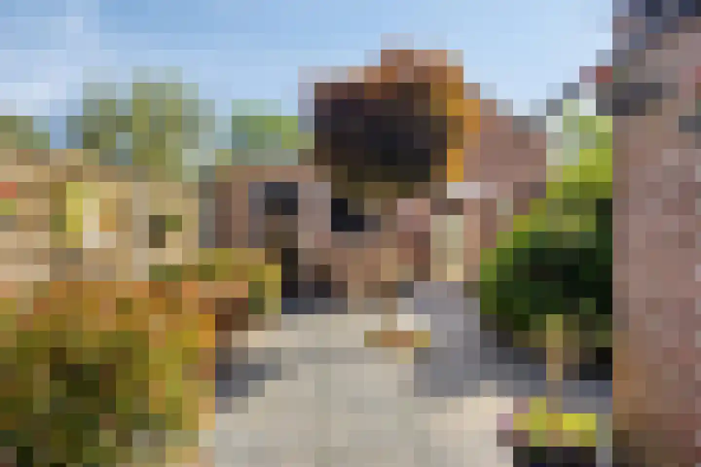 De Boksloot 12 Slagharen thumbnail 31