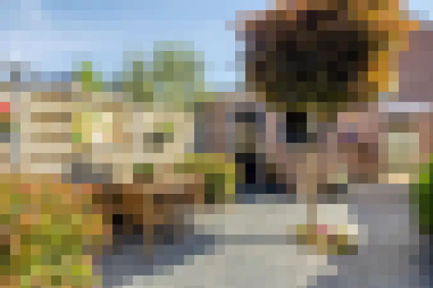 De Boksloot 12 Slagharen thumbnail 32