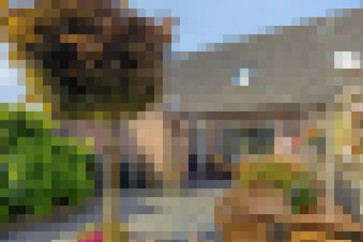De Boksloot 12 Slagharen thumbnail 33