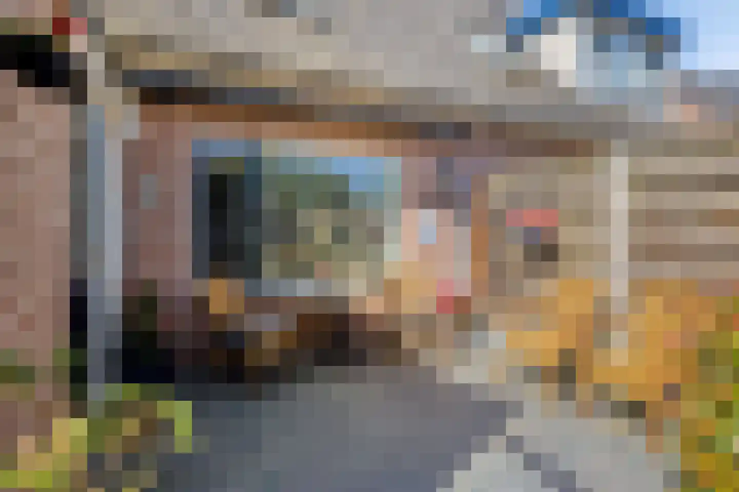 De Boksloot 12 Slagharen thumbnail 34