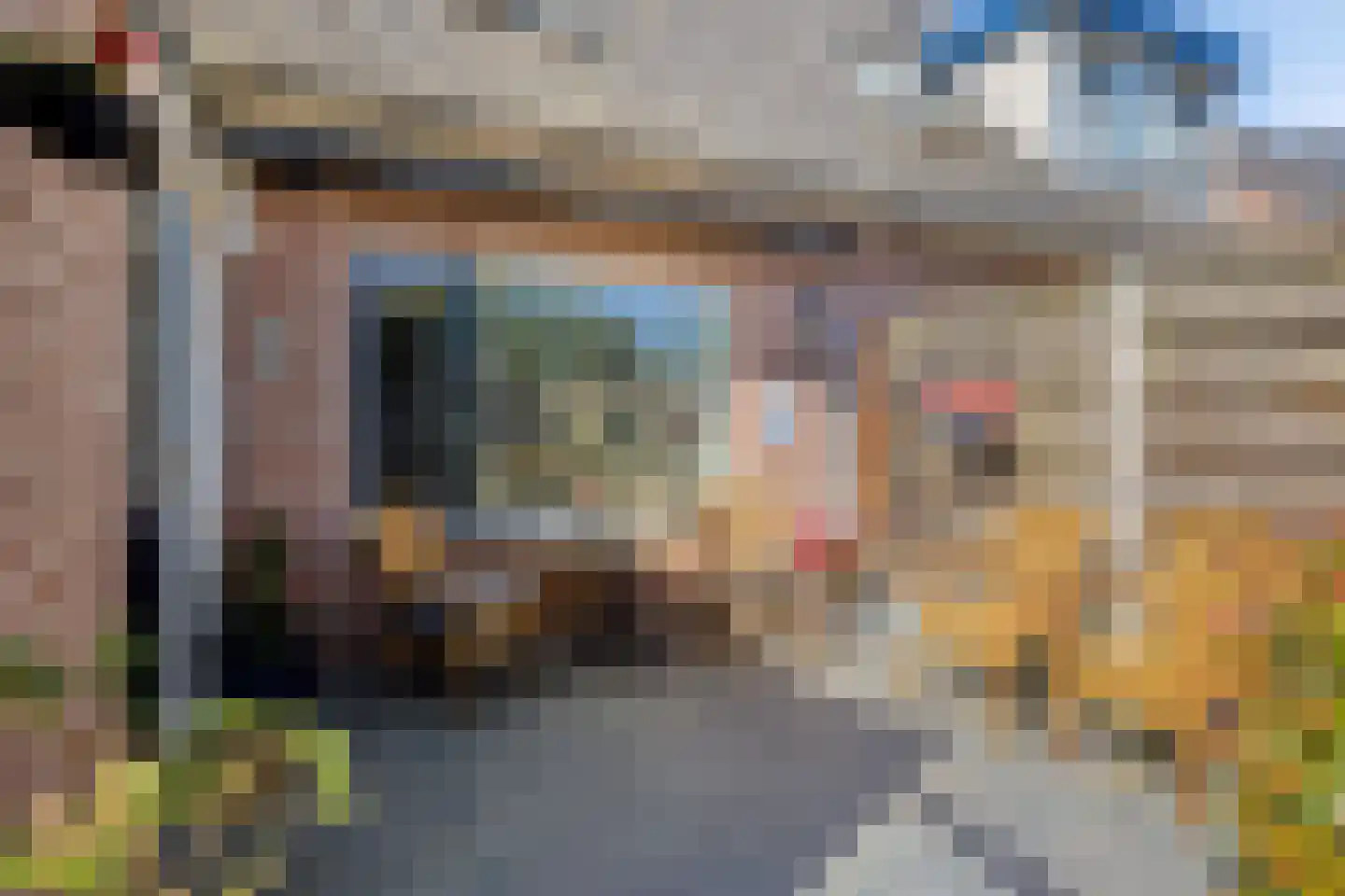 De Boksloot 12 Slagharen thumbnail 34