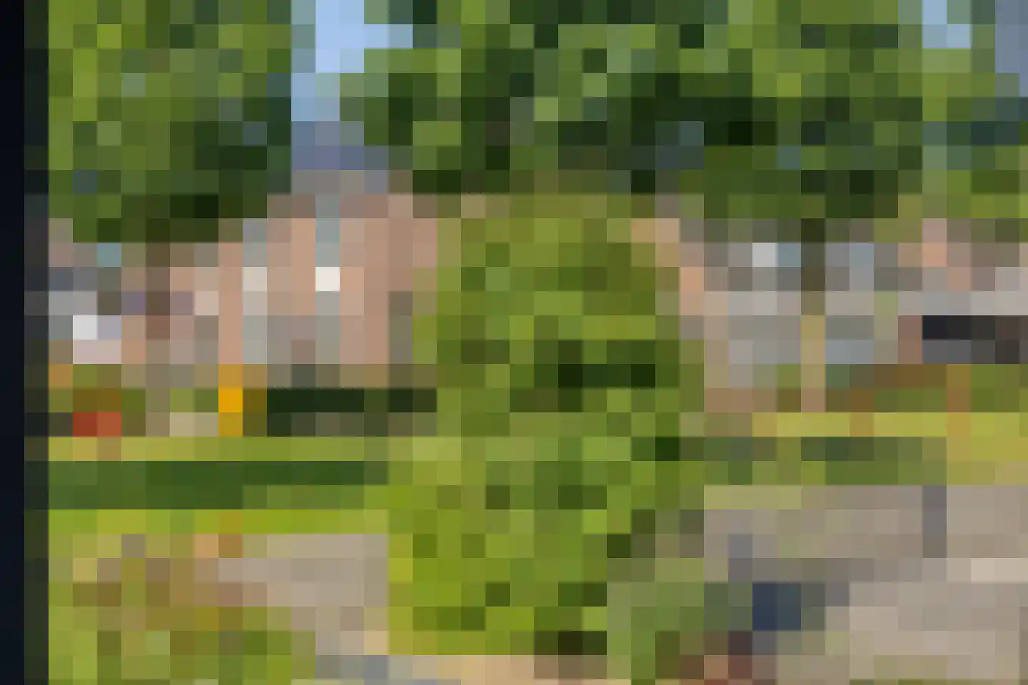De Boksloot 12 Slagharen thumbnail 36
