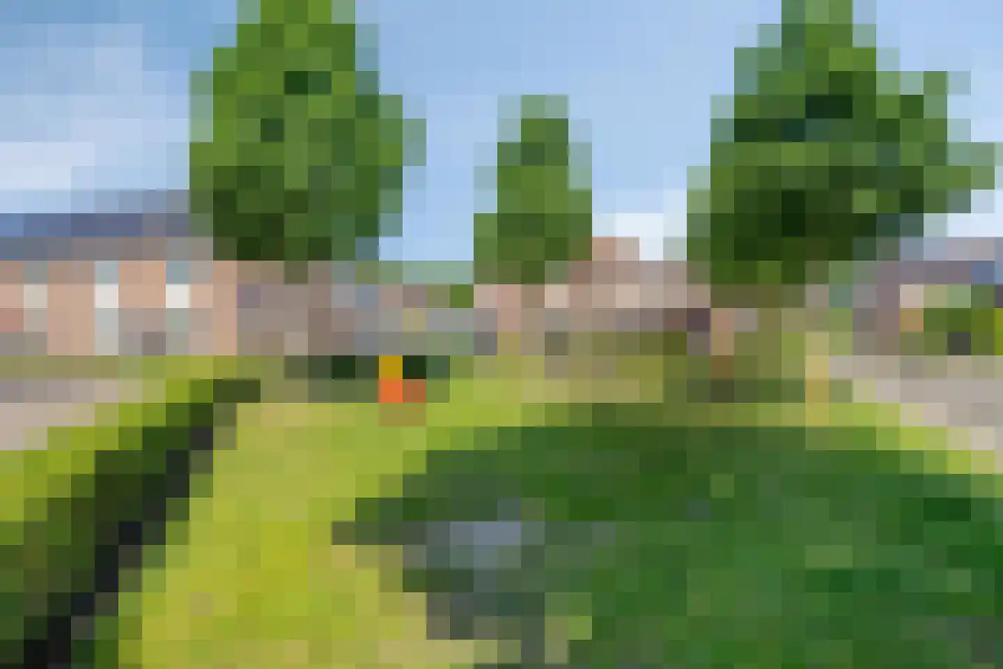 De Boksloot 12 Slagharen thumbnail 38