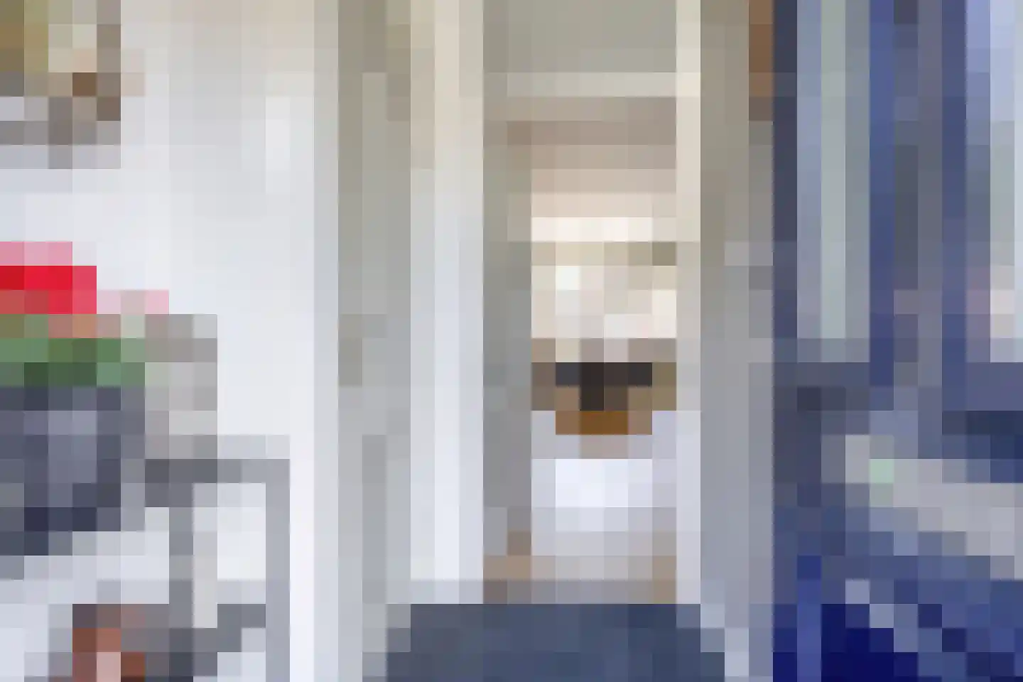 De Boksloot 12 Slagharen thumbnail 4