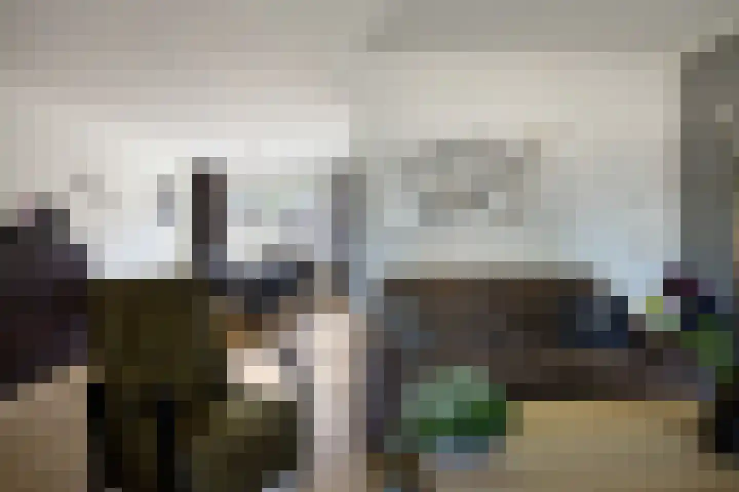 De Boksloot 12 Slagharen thumbnail 8