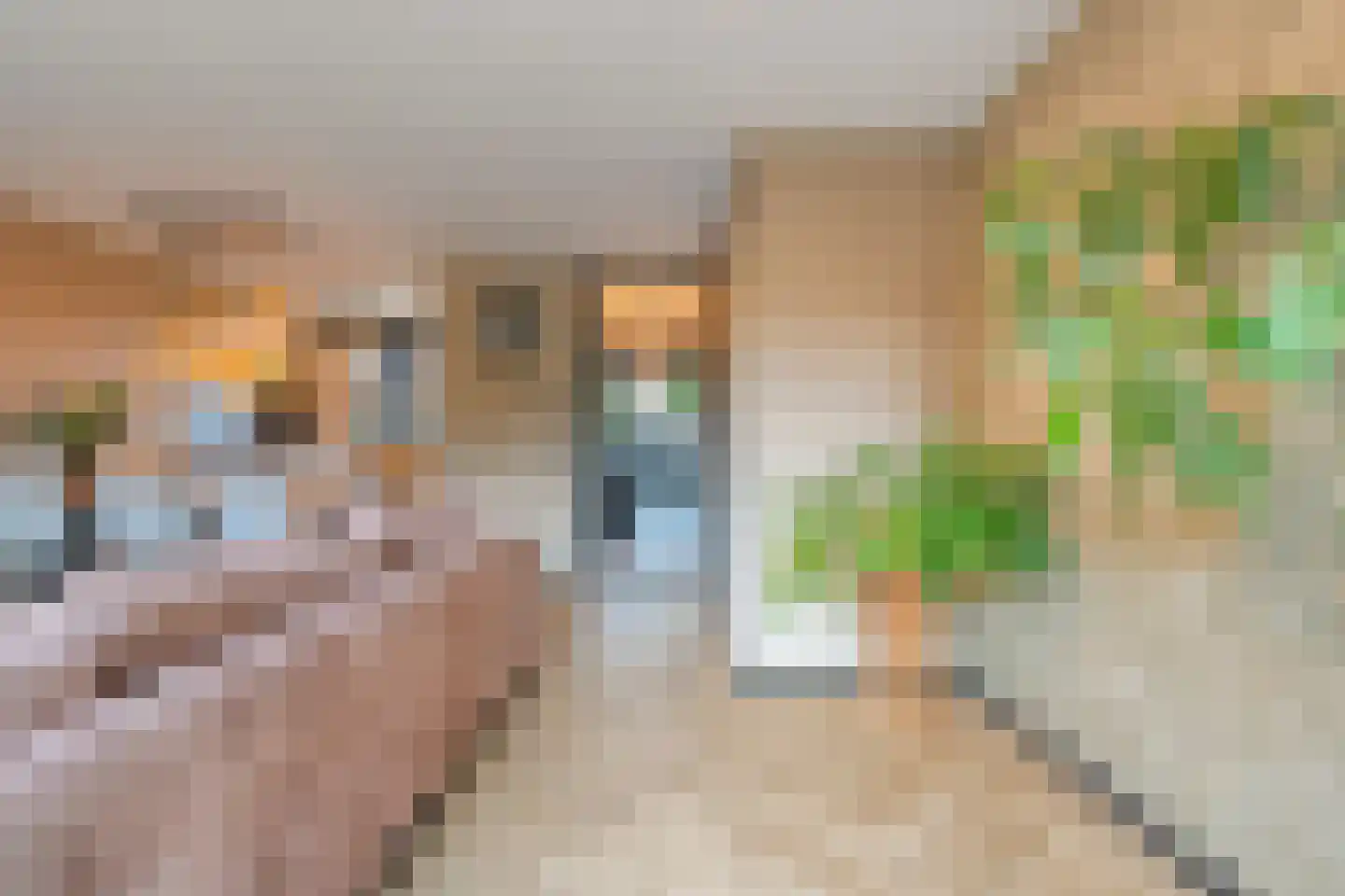 De Boksloot 20 Slagharen thumbnail 10
