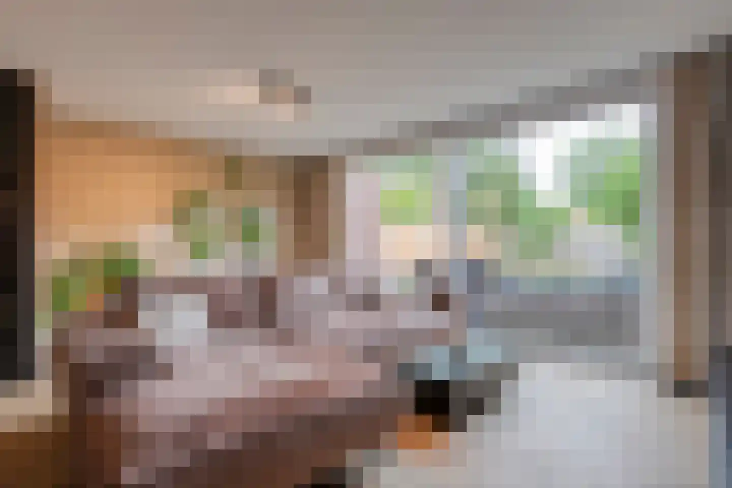 De Boksloot 20 Slagharen thumbnail 11
