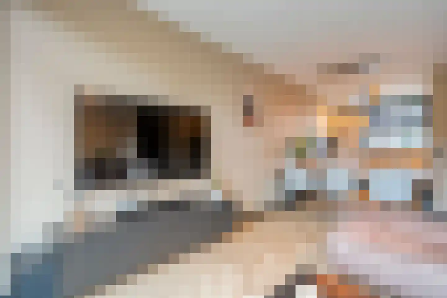 De Boksloot 20 Slagharen thumbnail 14