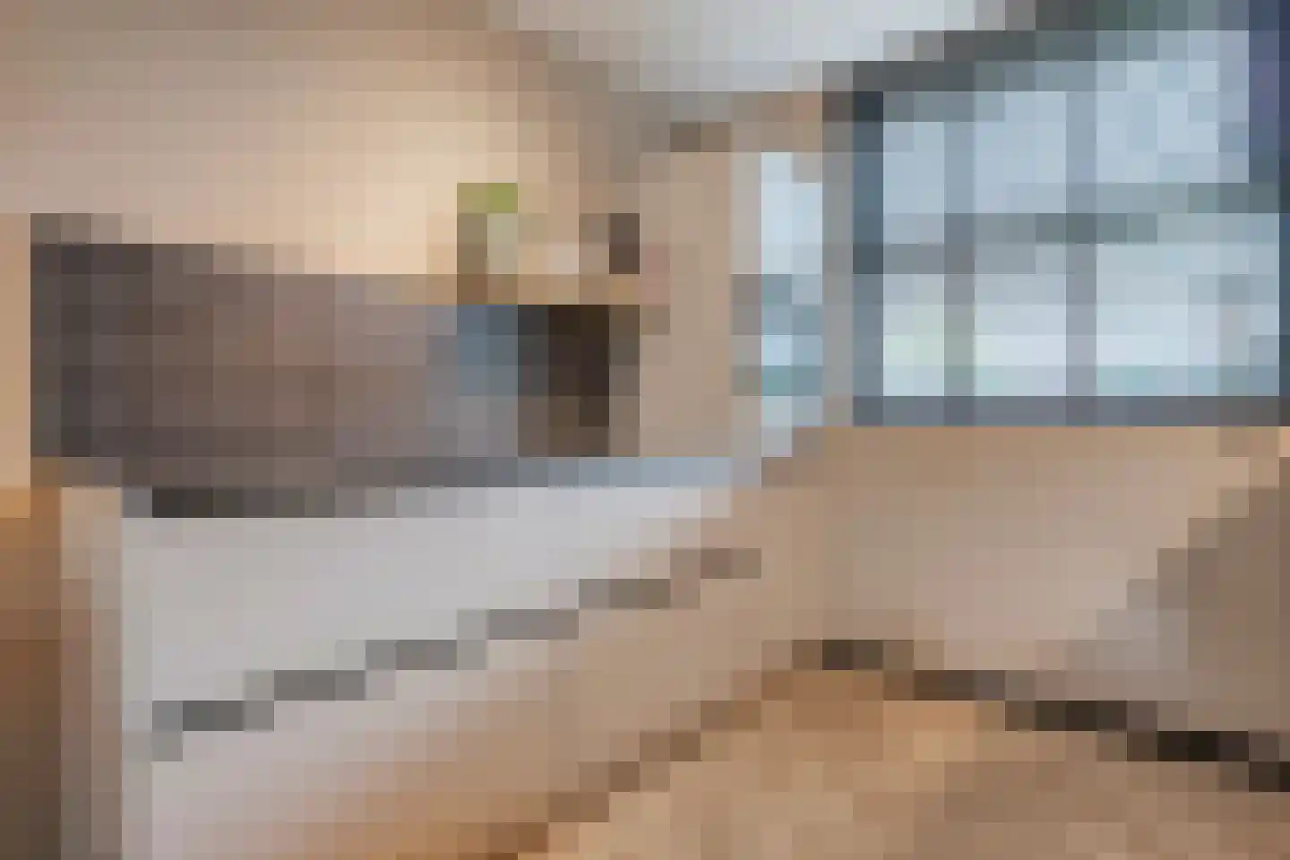 De Boksloot 20 Slagharen thumbnail 18