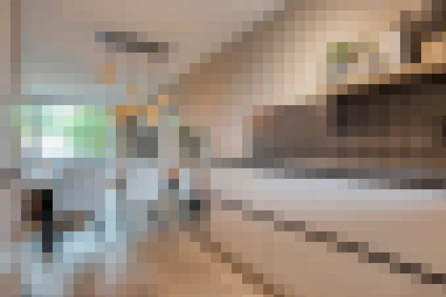De Boksloot 20 Slagharen thumbnail 20