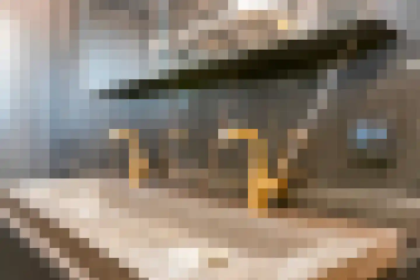 De Boksloot 20 Slagharen thumbnail 31