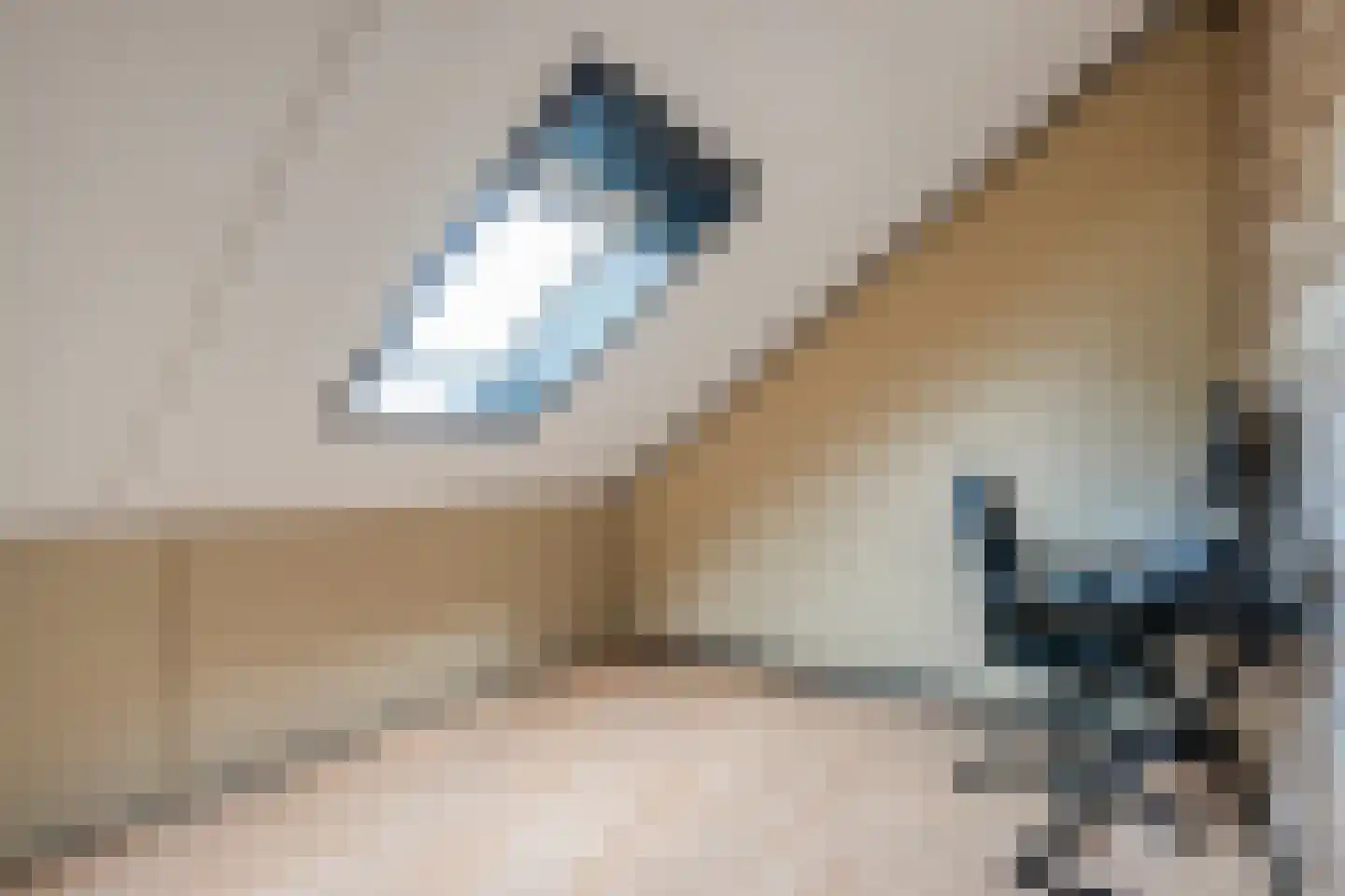 De Boksloot 20 Slagharen thumbnail 35