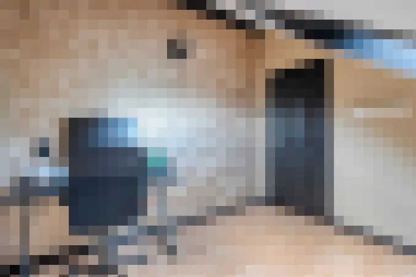 De Boksloot 20 Slagharen thumbnail 36