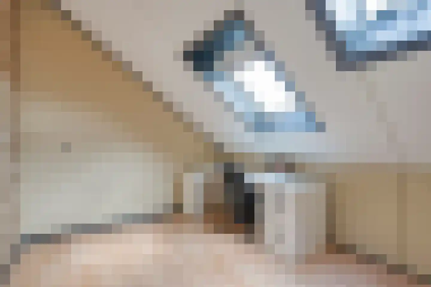 De Boksloot 20 Slagharen thumbnail 37