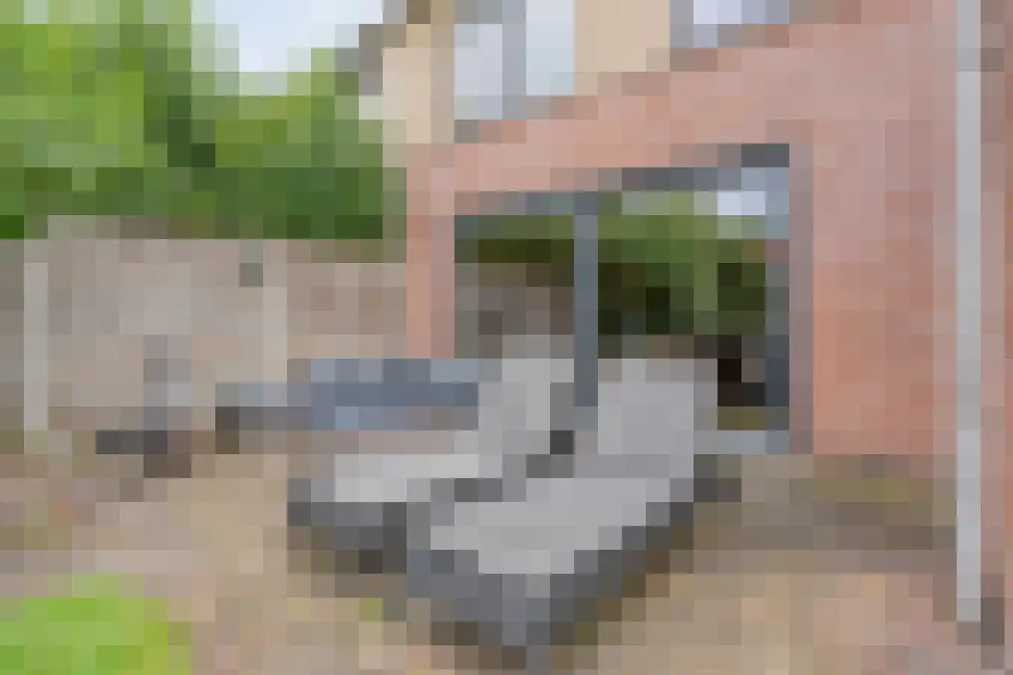 De Boksloot 20 Slagharen thumbnail 39