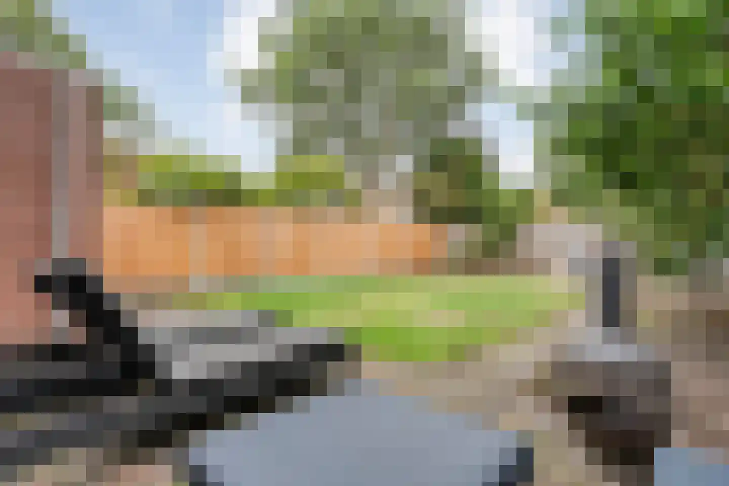 De Boksloot 20 Slagharen thumbnail 40