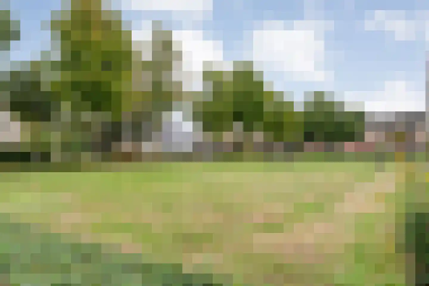 De Boksloot 20 Slagharen thumbnail 45