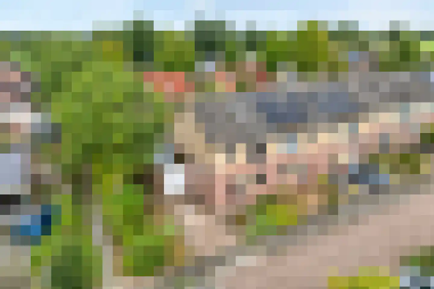 De Boksloot 20 Slagharen thumbnail 46