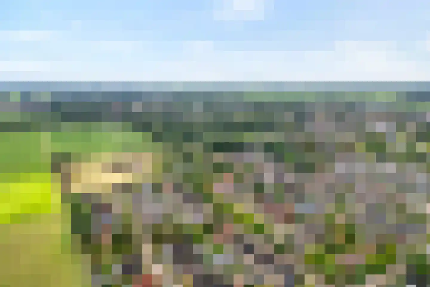 De Boksloot 20 Slagharen thumbnail 53