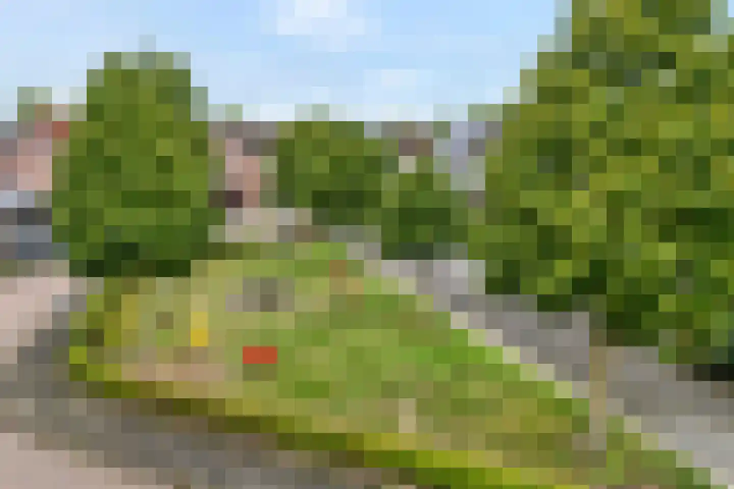 De Boksloot 20 Slagharen thumbnail 54
