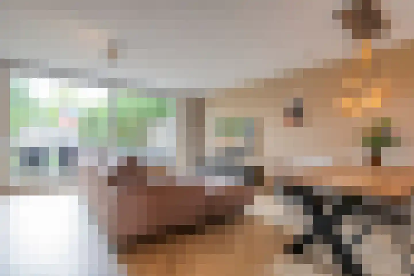 De Boksloot 20 Slagharen thumbnail 9