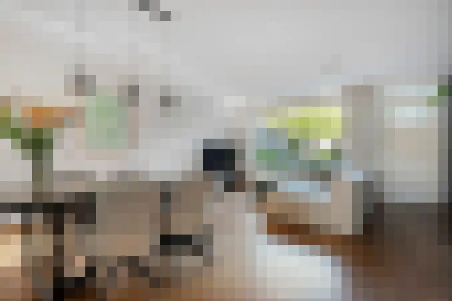 De Boksloot 26 Slagharen thumbnail 11