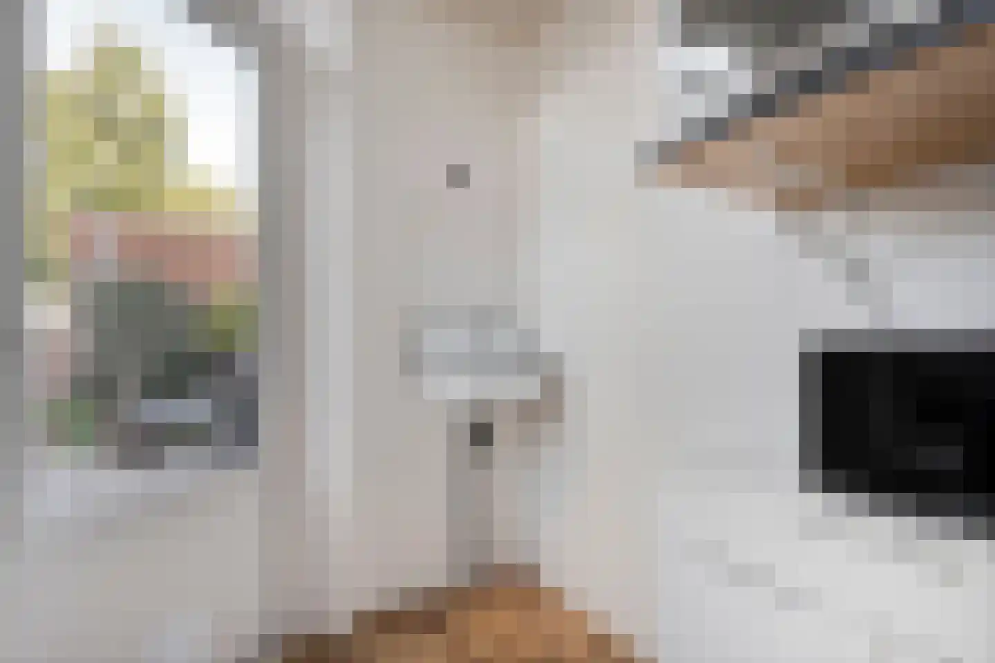 De Boksloot 26 Slagharen thumbnail 20