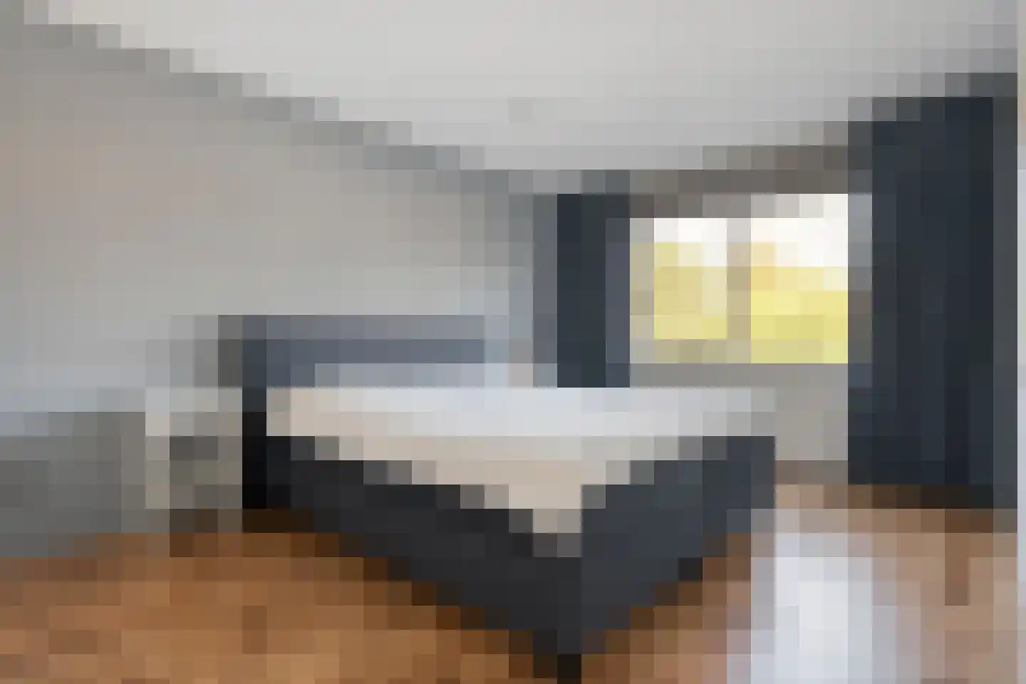 De Boksloot 26 Slagharen thumbnail 22