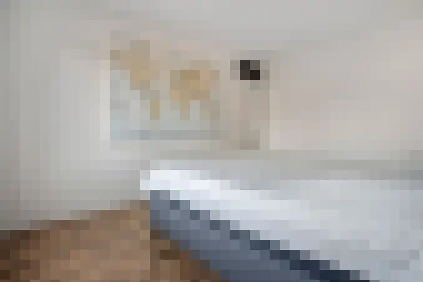 De Boksloot 26 Slagharen thumbnail 23