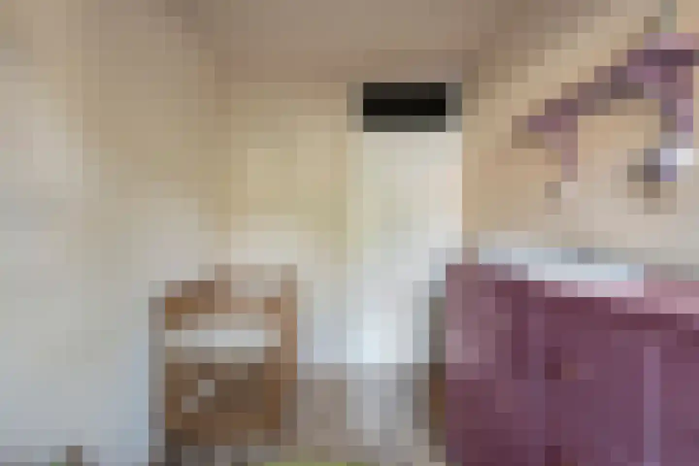 De Boksloot 26 Slagharen thumbnail 25