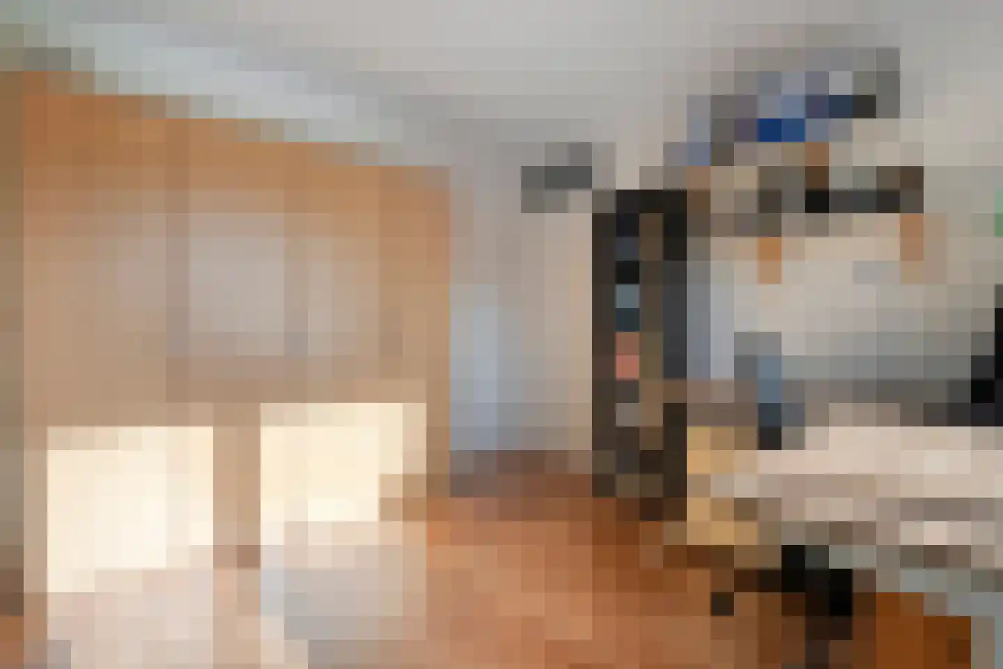 De Boksloot 26 Slagharen thumbnail 27