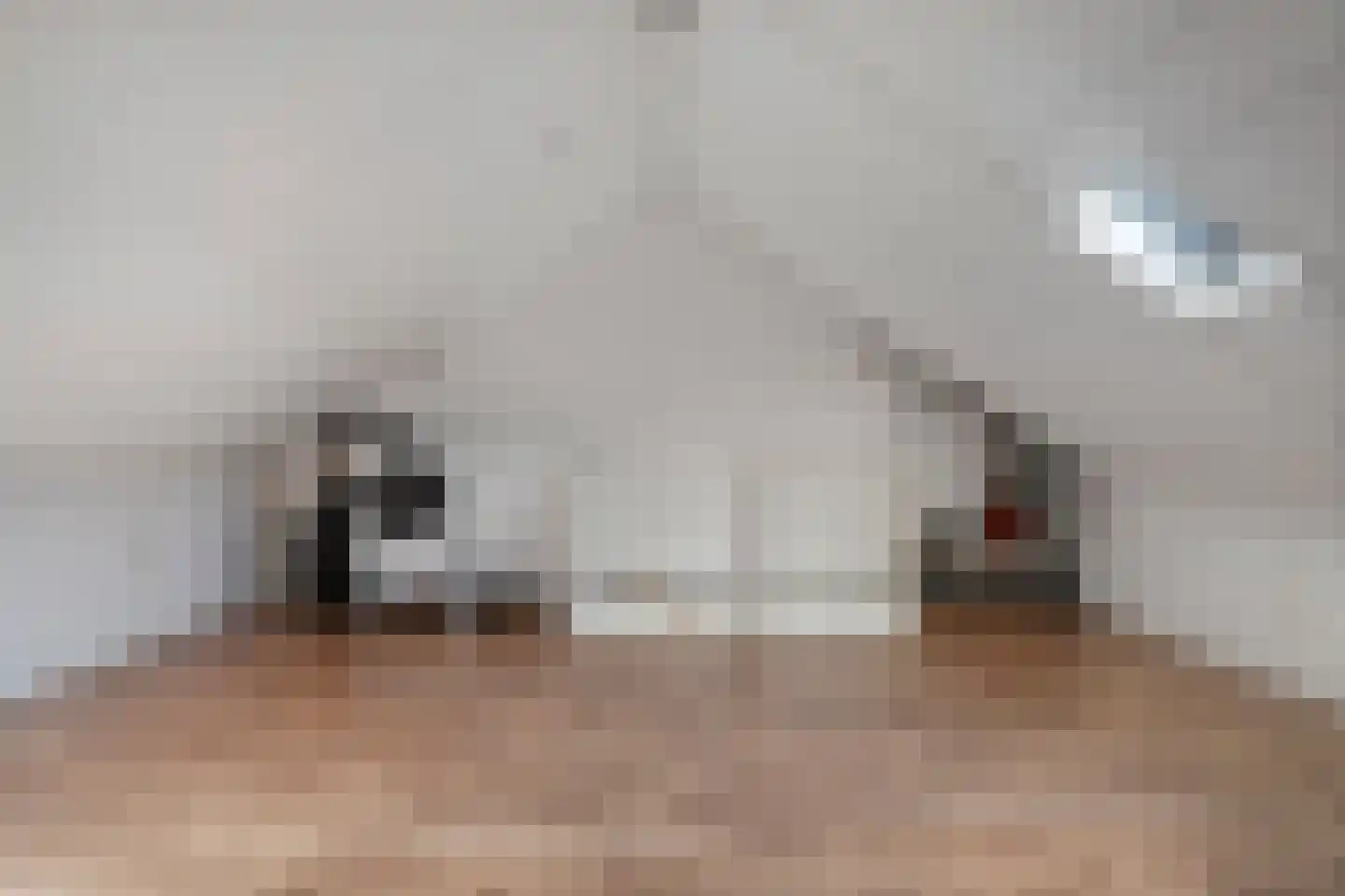 De Boksloot 26 Slagharen thumbnail 30