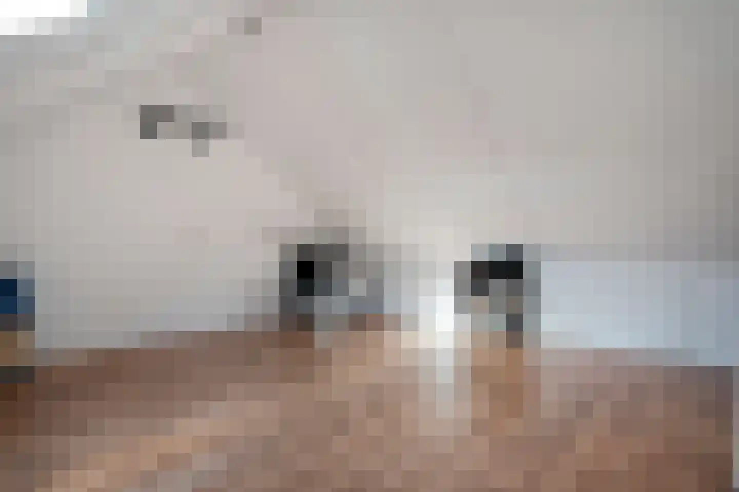 De Boksloot 26 Slagharen thumbnail 32